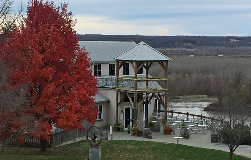 Les Bourgeois Vinyards 800w.jpg
