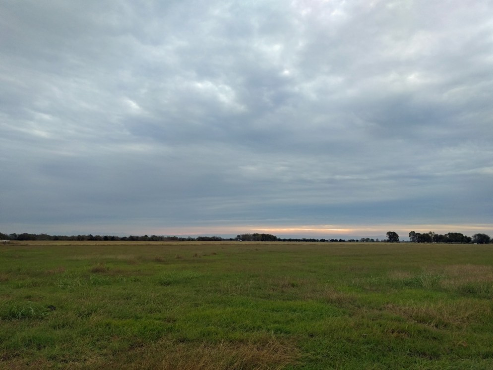 Flat South Texas.jpg