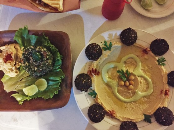 2016 April Mexico (155)