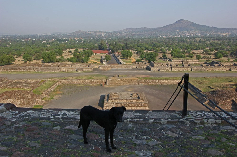 Teotihuacan (31)