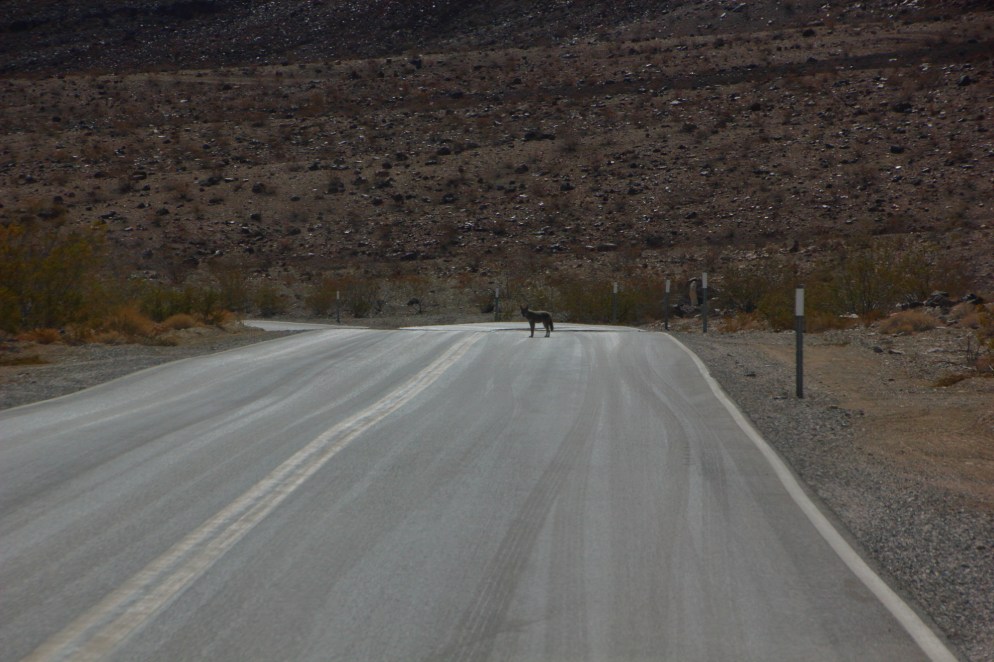 death-valley15