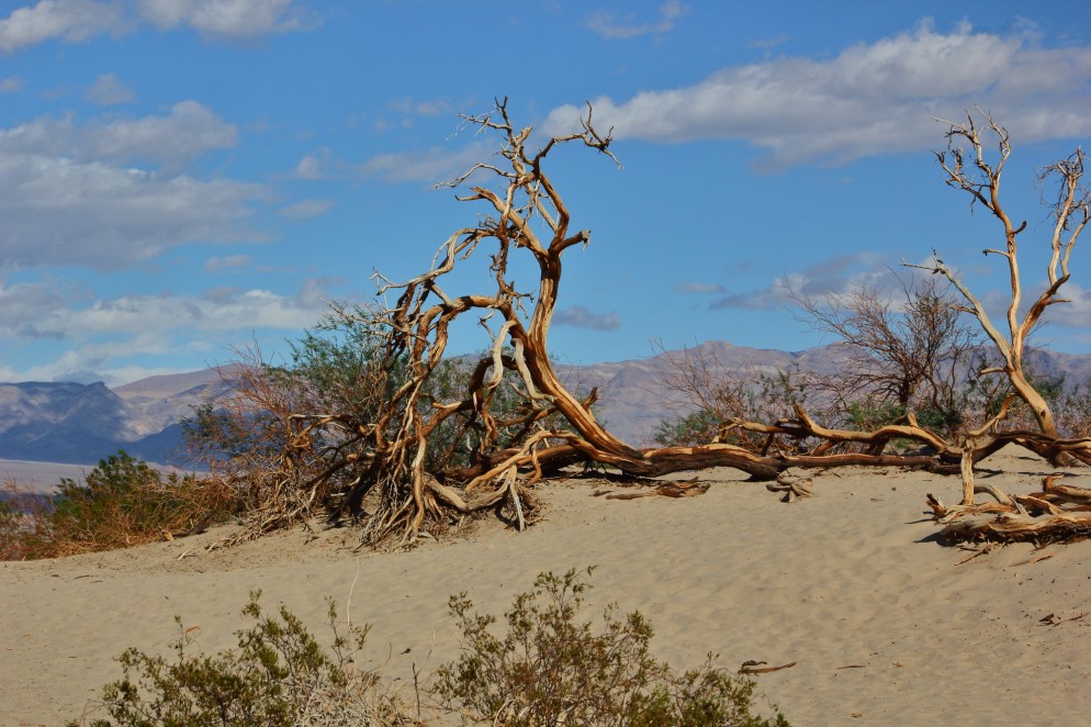 death-valley32